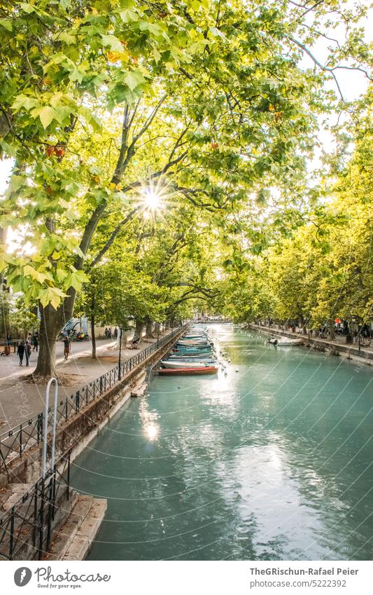 Lake with boat in front of tree in Annecy France vacation so much sunshine Sunbeam Boating trip boats leaves Tree trees Avenue Light Summer Landscape