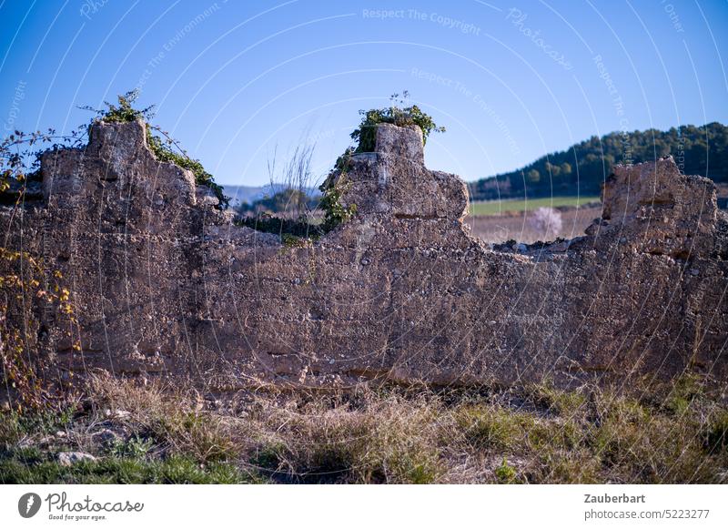 Old stone wall in Catalonia in side light, behind landscape Wall (barrier) Stone wall Landscape shape Field Characteristic Typical vacation travel