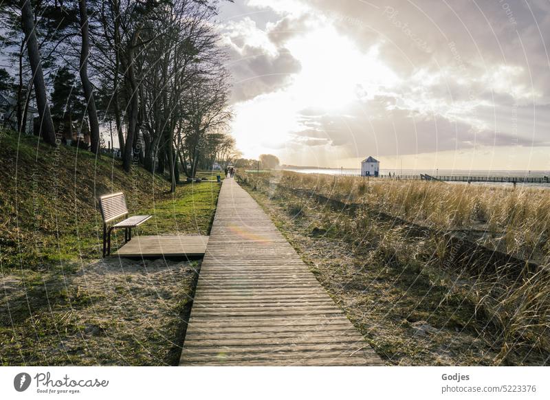 Path made of wooden planks with a bench to rest on a dune on the Baltic Sea. Lanes & trails Wood planks hiking trail coast duene water rescue Nature Landscape