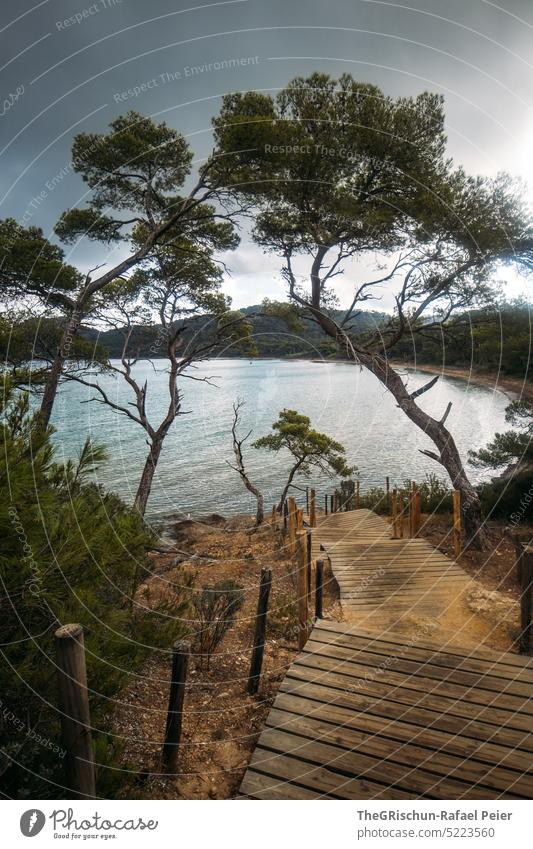 Footbridge and trees in front of beach Ocean Porquerolles France Island Vacation & Travel Water Relaxation Beach Sky coast Summer Exterior shot