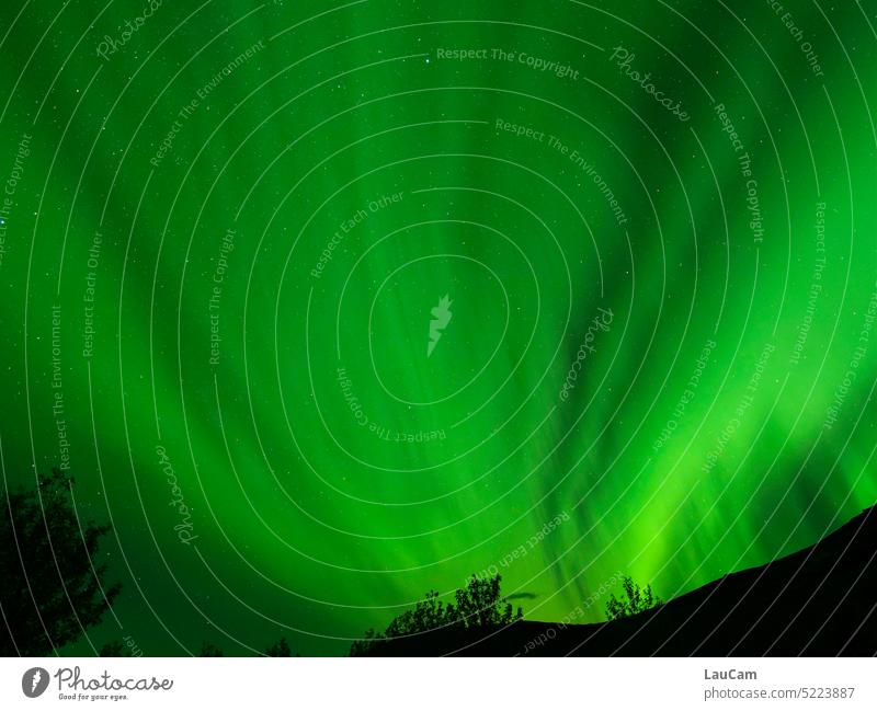 Aurora Borealis - the night sky glows green aurora polaris aurora borealis The Arctic Sky Night Night sky stars mountain trees Illuminate rays Green Green sky