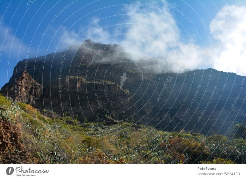 Low hanging clouds in the mountains on Tenerife in Spain wall of clouds high nature Mountains land background early haze trees Blue landscape idyll low island