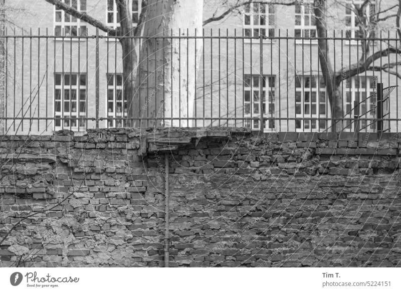 Backyard wall Berlin Prenzlauer Berg b/w Wall (barrier) Fence Downtown Town Black & white photo Capital city Day Old town Deserted Courtyard Exterior shot