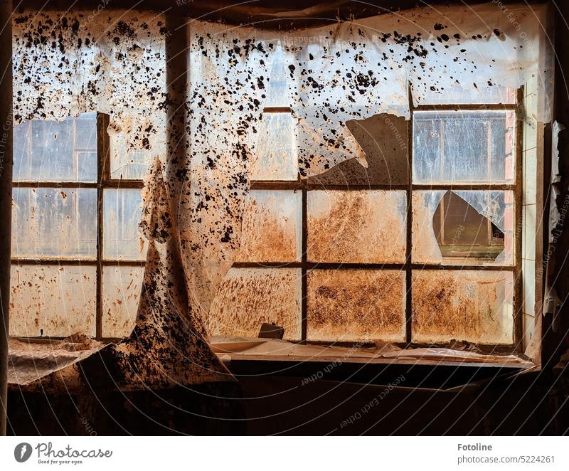 The foil hangs down lodderlich, everything is stained with dirt and splattered. The window, partially broken. Hach, that makes my heart beat faster for Lost Places.