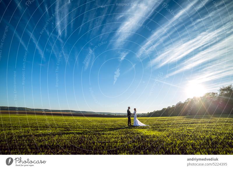 elegant groom and chic brunette bride on a background of nature and blue sky. View from afar happy stylish two sunny woman romantic outdoors marriage white