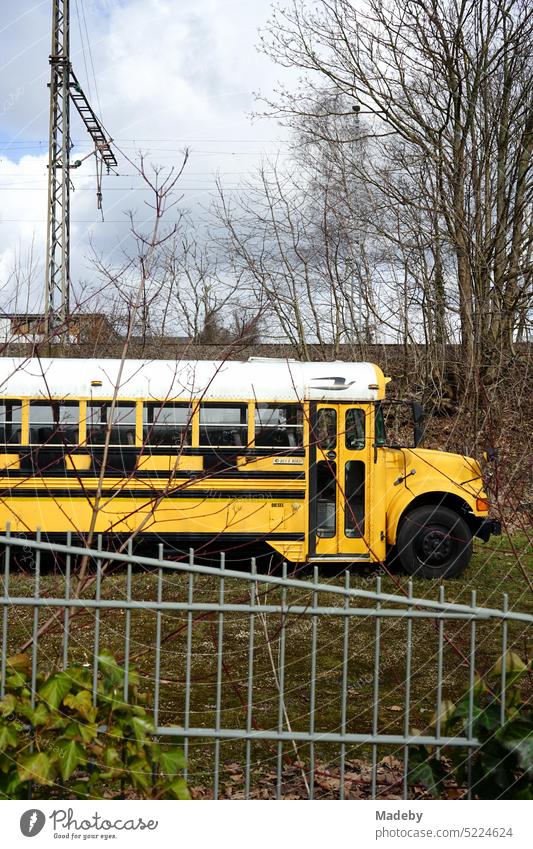 Typical American school bus in yellow and white in the sunshine behind a fence in the industrial park in Detmold at the Teutoburg Forest in the Lipperland in East Westphalia-Lippe
