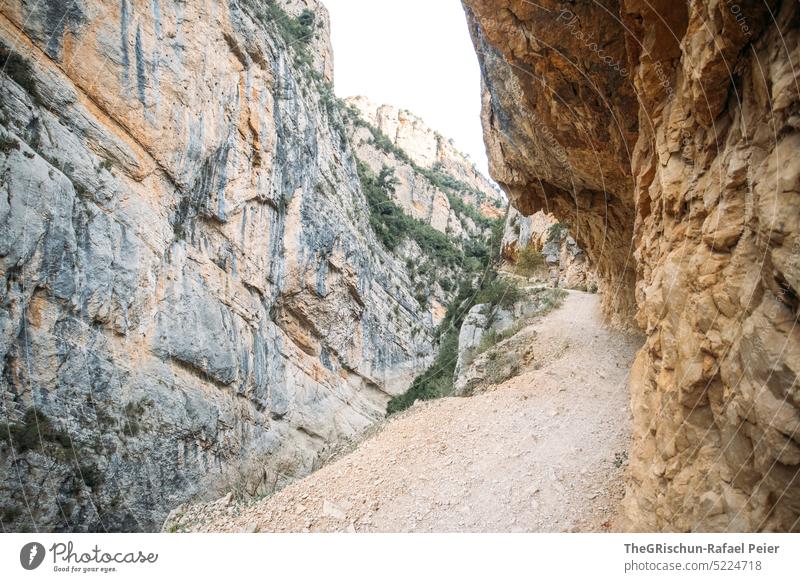 Path in a rocky gorge Stony Canyon Nature Landscape Summer Colour photo Beautiful weather Rock Exterior shot congost de Mont rebei Lanes & trails Hiking Sparse