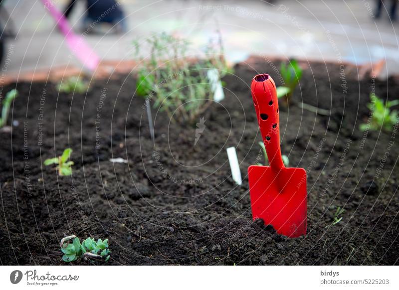 Planting time, red shovel next to freshly planted herbs in raised bed planting time herb bed Shovel freshness Herb garden red planting shovel Earth plants