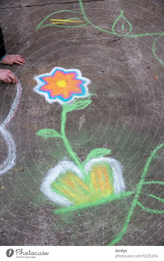 Colorful flower. Chalk painting on asphalt Flower Street painting hands Infancy Painting (action, artwork) street chalk Creativity Multicoloured Chalk drawing