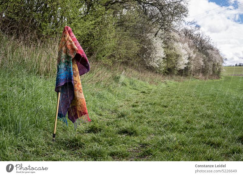 Colorful scarf hangs over walking stick on the path through a meadow. Exterior shot Colour photo Break Idyll Joie de vivre (Vitality) naturally Happy