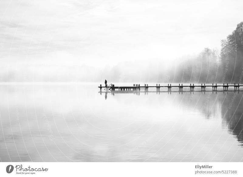 Footbridge on the lake in the fog. Foggy landscape in the morning. Lake Morning Dawn Calm Water Nature Landscape Lakeside Exterior shot Autumn Environment Moody