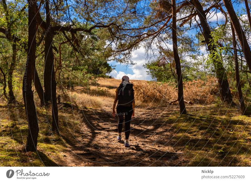 a young slim woman with big backpack hiking steps out of a forest into an open field under a bright blue summer sky Hiking Woman youthful Slim Forest Nature
