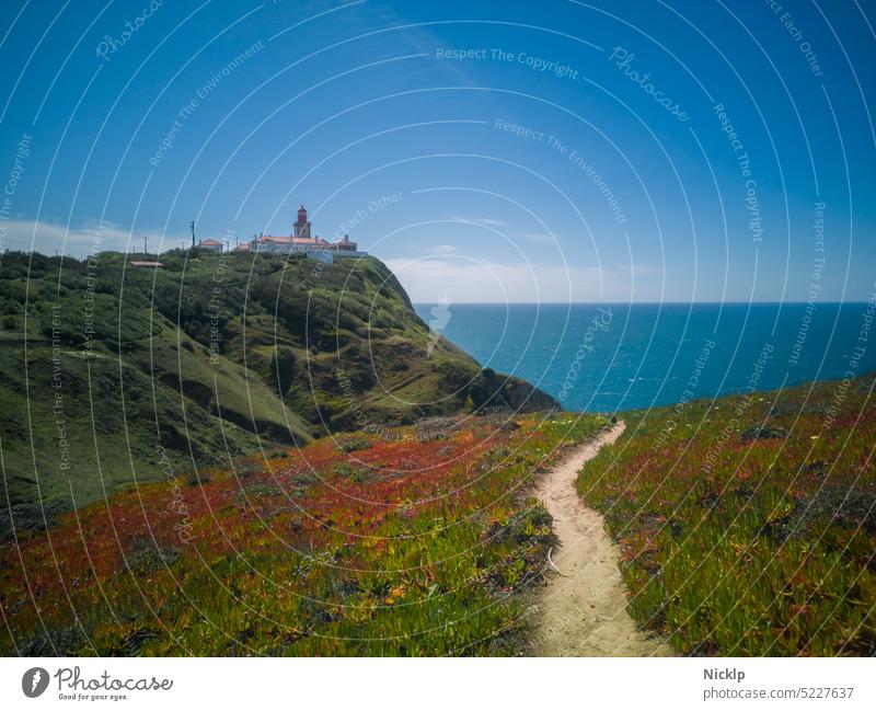 Lighthouse at Cabo da Roca on the Atlantic coast, Portugal, UNESCO World Heritage Site (westernmost point in Europe) Atlantic Ocean Livingstone daisy