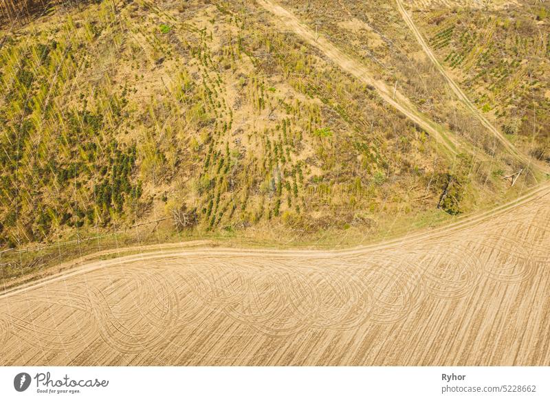 Aerial View Of Minimalistic Rural Landscape. Bird's-eye View Of Deforestation. Beginning Of Agricultural Spring Season. Tractor Tracks On Plowed Field Surface From Agricultural Machinery