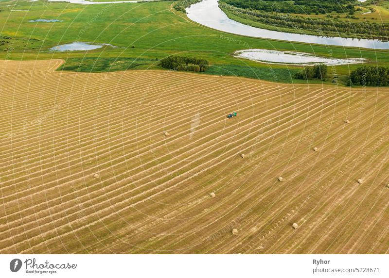 Aerial View Tractor Collects Dry Grass In Straw Bales In Wheat Field. Special Agricultural Equipment. Hay Bales, Hay Making. Agricultural Machinery Cereal Plant