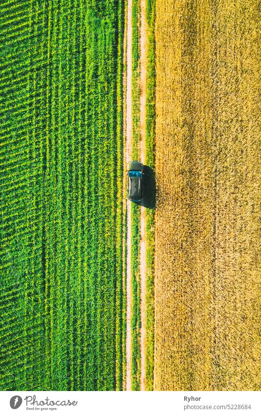 Aerial View Of Car SUV Parked Near Countryside Road In Spring Field Rural Landscape. Car Between Young Wheat And Corn Maize Plantation Alesund europe transport