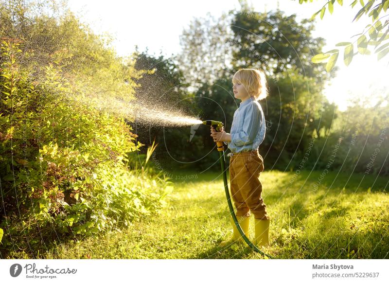 Funny little boy watering plants and playing with garden hose with sprinkler in sunny backyard. kid action active activity assistance caucasian child childhood