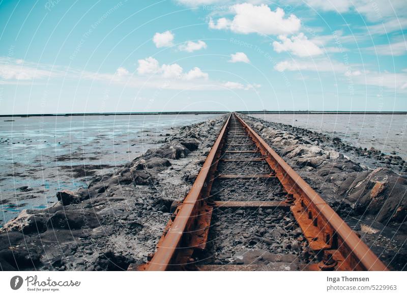 The rails of the Lorendamm lead into the vastness of the North Sea. lore wide Blue sky Nature Nature reserve Mud flats Low tide North Sea coast