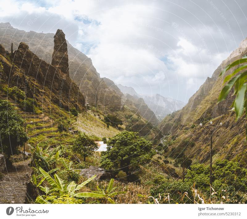 Picturesque canyon Ribeira da Torre covered with lush vegetation. Cultivation on steep terraced hills banana trees, sugarcane and coffee. Xo-Xo valley Santo Antao Cape Verde Cabo Verde