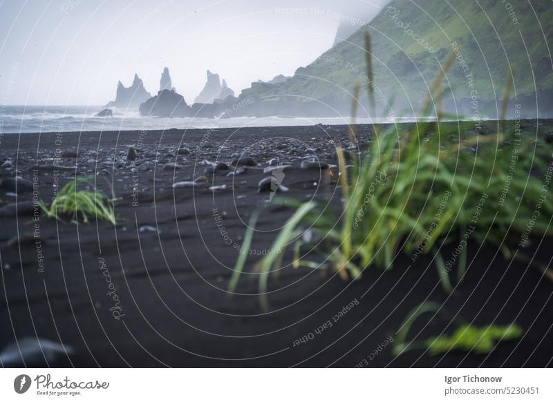 Black beach in Vik with famous Reynisdrangar rock formations and the mount Reynisfjall in stormy ocean. Southern Iceland vik iceland reynisdrangar reynisfjall