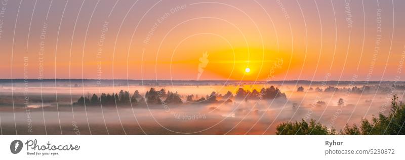 Amazing Sunrise Sunset Over Misty Landscape. Scenic View Of Foggy Morning Sky With Rising Sun Above Misty Forest And River. Early Summer Nature Of Eastern Europe. Panorama