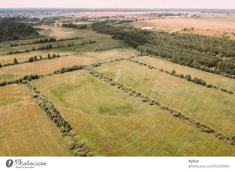 Aerial View Spring Green Field With Windbreaks Landscape. Top View Of Field And Forest Belt. Drone View Bird's Eye View. A Windbreak Or Shelterbelt Is A Planting Usually To Protect Soil From Erosion