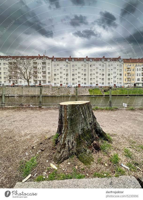 View over a tree stump, across the Neukölln shipping canal to a house front Deserted Copy Space middle Structures and shapes Copy Space top Pattern Abstract