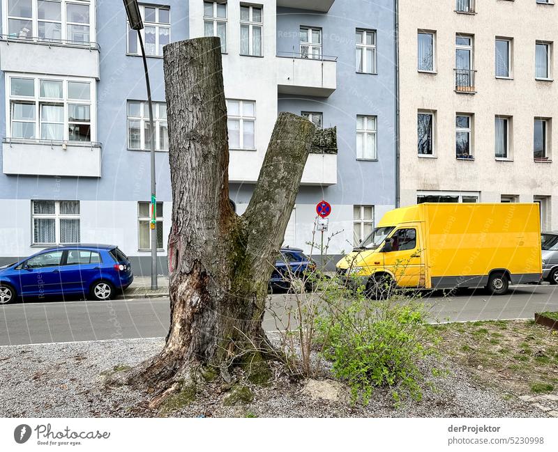 View of tree stump with house front and post bus in background Deserted Copy Space middle Structures and shapes Copy Space top Pattern Abstract Contrast