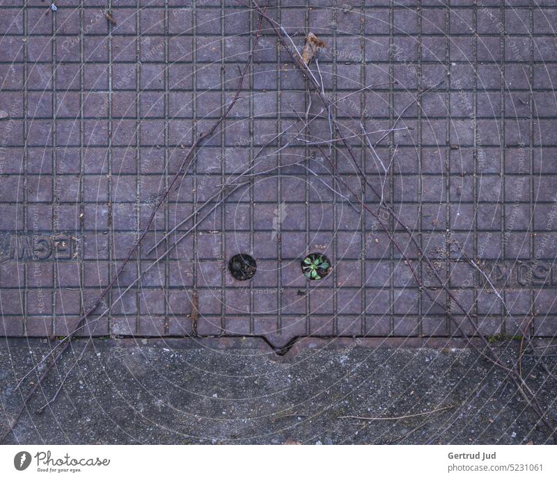 Pareidolia, manhole cover with face pareidolia Patina Rust Channel Manhole cover Gully Face Metal metallic Gray colourless Colorless