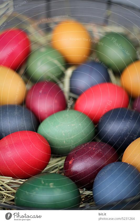 motley I many colorful Easter eggs in Easter nest Egg Tradition Easter Bunny Decoration Colour Public Holiday Feasts & Celebrations Spring Festive