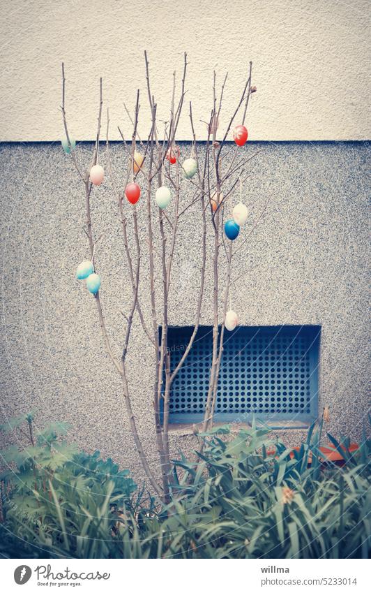 Easter tristesse. The will counts. Easter eggs shrub Bleak Adorned Gloomy dreariness Tradition Decoration Funny Prefab construction Cellar window bleak