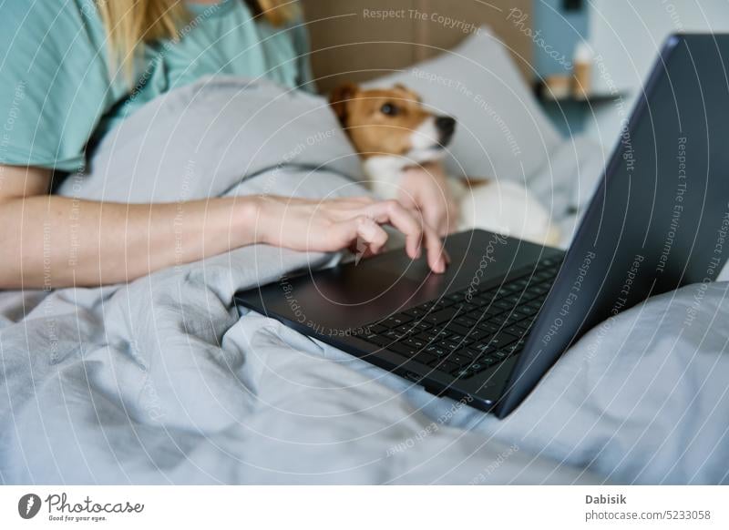 Woman with cute dog lying in bed and using laptop at morning woman together freelancer comfortable home pet working affection adorable lazy lifestyle animal