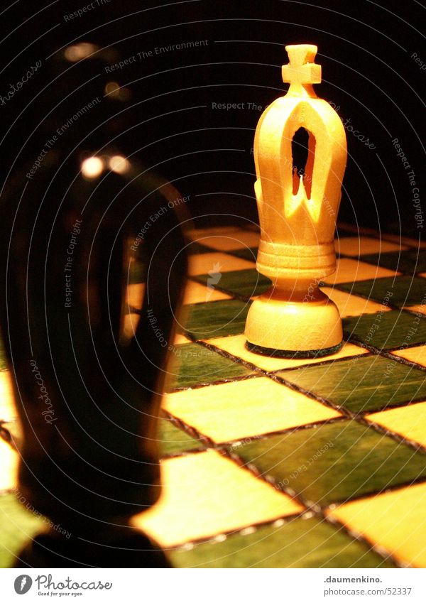 duell Chess piece Chessboard Wood Square Lady Checkered Green White Black Dark Light Evil Duel Playing Planning Railroad Concentrate Macro (Extreme close-up)