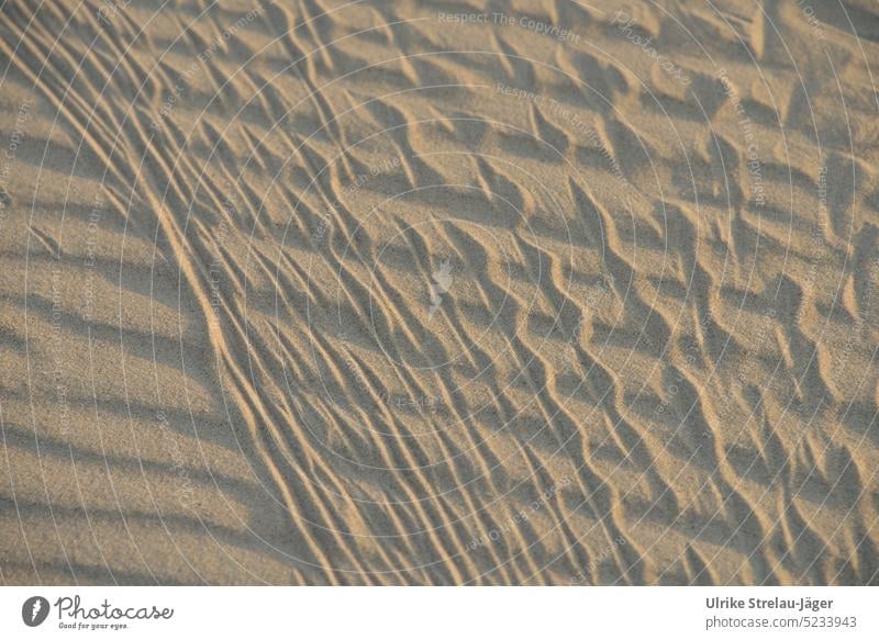 abstract traces in the sand in the evening Tracks Skid marks Sand Sandy beach Waves wave pattern Pattern Abstract Beach Structures and shapes