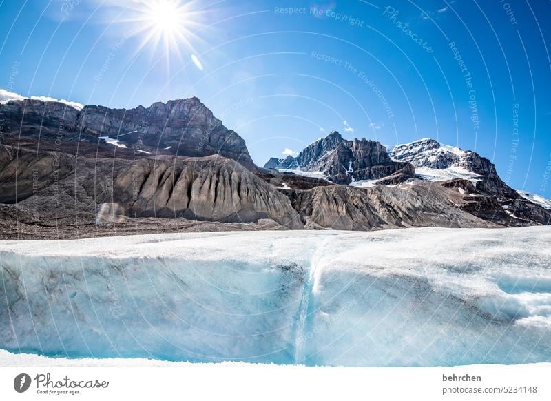 massive snow Climate chill Climate change Climate protection Environmental protection Glacier Banff National Park Ice Cold Impressive Athabasca Glacier