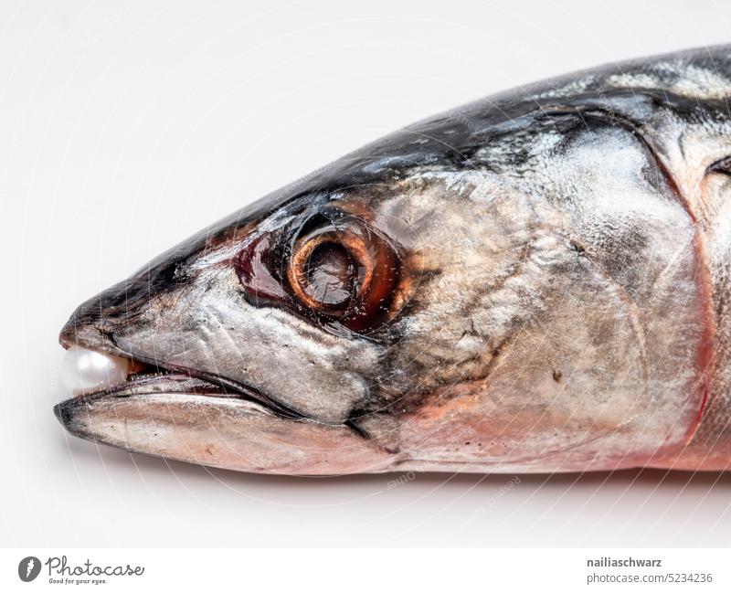Mackerel head with pearl Mackerel fish Head Fish head Pearl Colour photo seafood Fresh fresh fish Food Component Eating Eyes body part structure