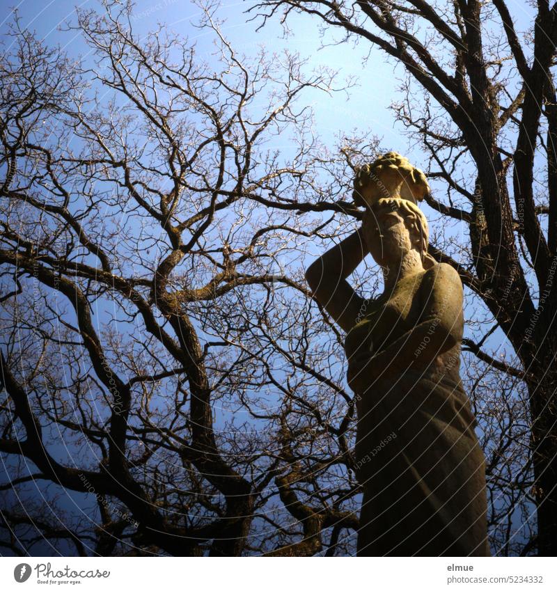 female stone sculpture surrounded by old gnarled bare trees Stone sculpture Sculpture Stone statue Park Tree female figure garden figure Park figure Statue