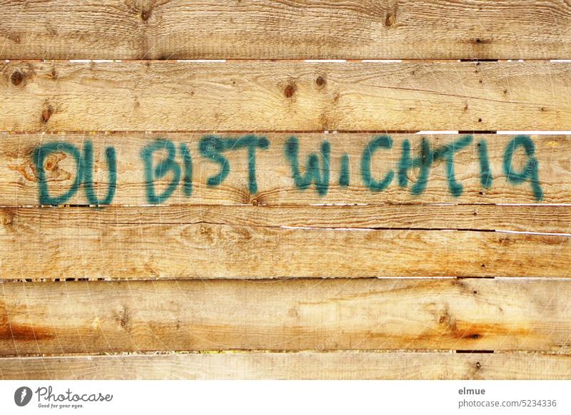 YOU ARE IMPORTANT stands on a wall of wooden slats / message you are important cheer up Wooden wall Be important be valuable human dignity Blog Optimism