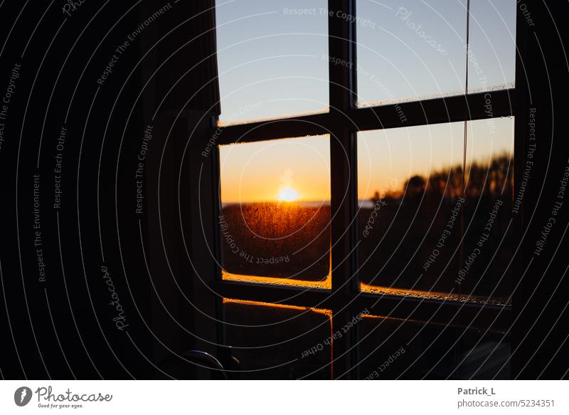 Window frame in sunrise Sunrise Condensation Sunlight trees shilouette Winter vacation Vacation home Denmark Black Deserted Vacation & Travel Colour photo Sky