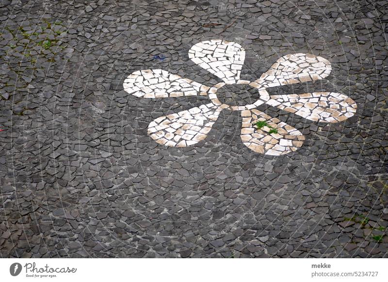 The common white stone flower Flower Blossom Blossom leave Spring Blossoming symbol off stones pavement Paving stone White Mosaic decoration Image Sign