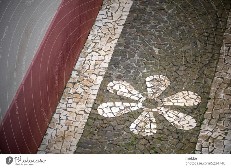 communis flos lapis Flower Blossom Blossom leave Spring Blossoming symbol off stones pavement Paving stone White Mosaic decoration Image Sign Decoration Pattern