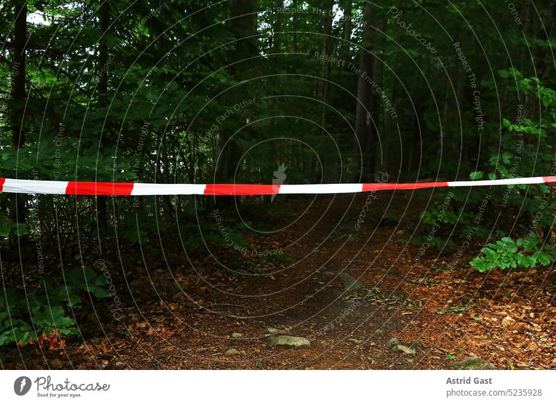 A barrier tape at a crime scene or danger spot in the forest cordon Safety Reddish white Protection flutterband Barrier Barred lock Police Force POLICE BARRIER