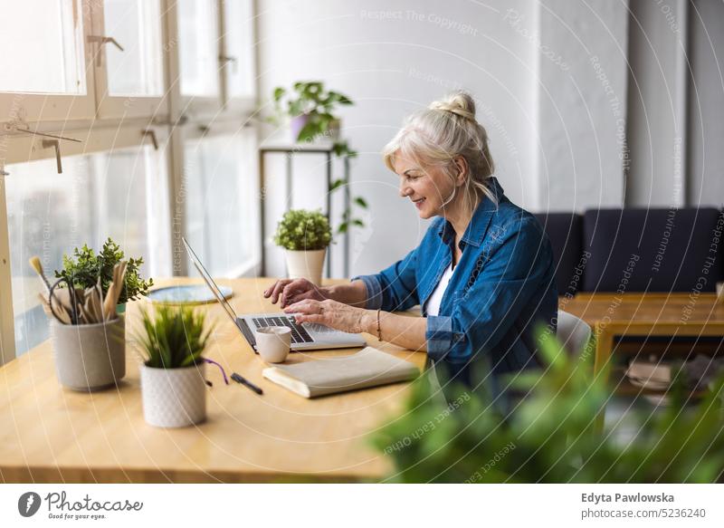 Portrait of smiling mature businesswoman using laptop at desk in office real people senior indoors loft window home mature adult one person attractive