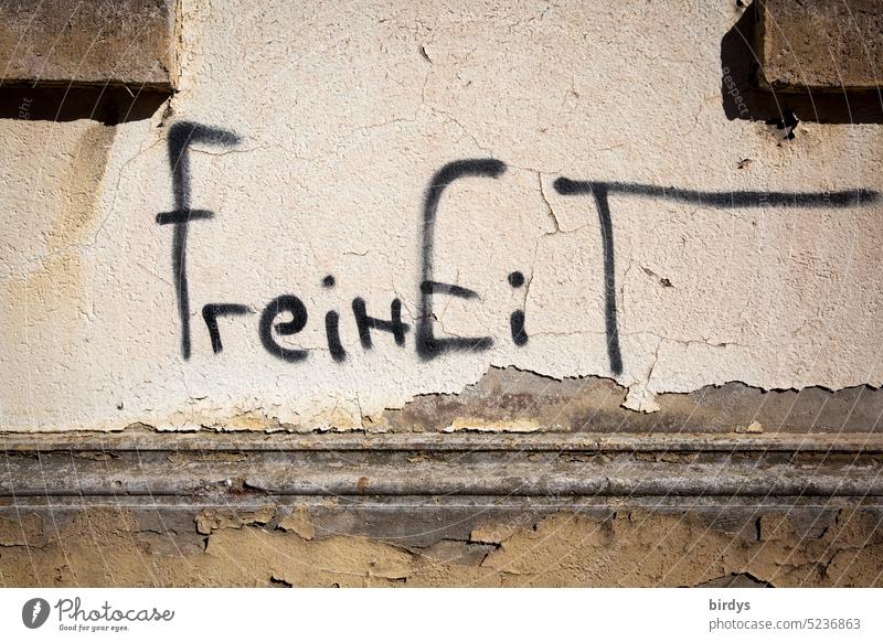 Freedom, graffiti on an old house facade Word writing be free Graffiti Typography Facade Characters Term Independence