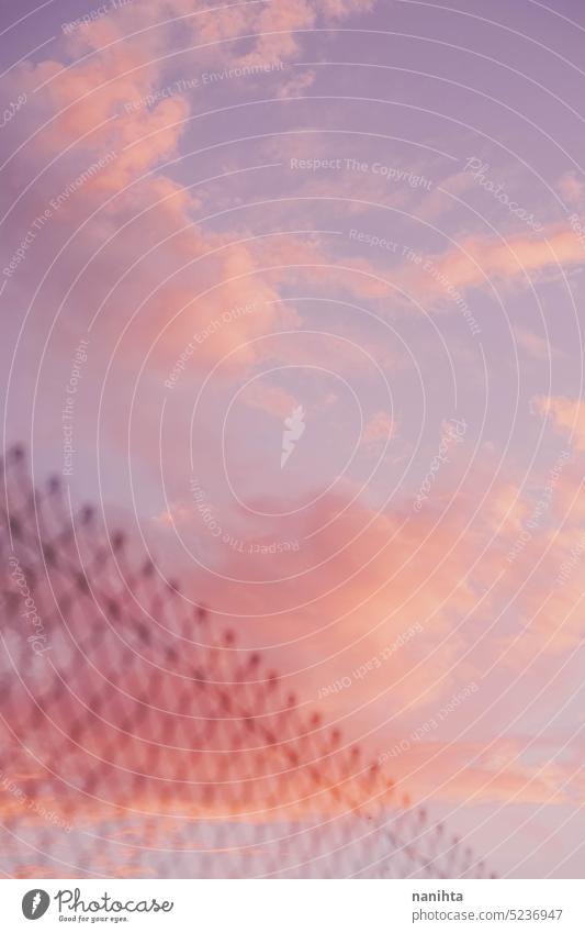 Background images of a kawaii anime style cloudy sky in pastel tones dreamy surreal clouds background magic ethereal minimal pink magical nature natural purple