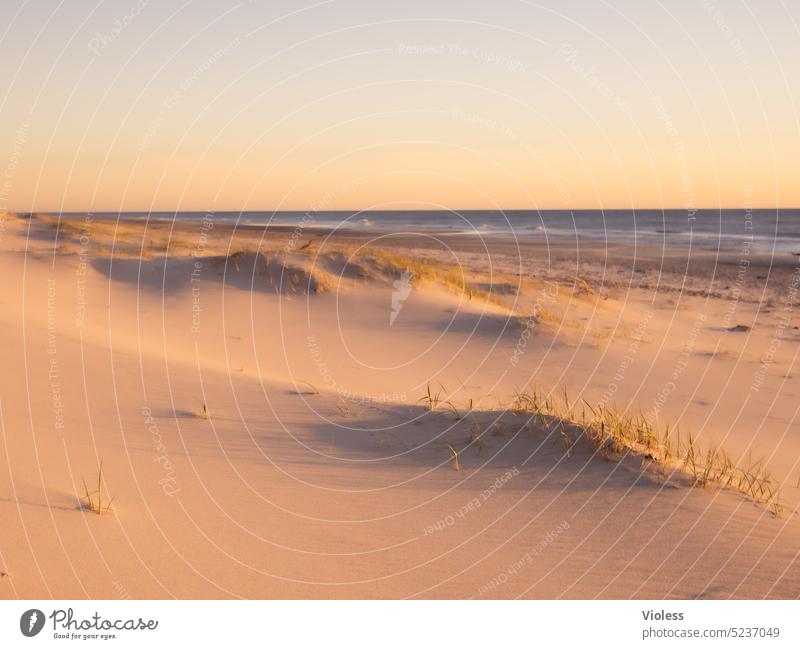 Beach and dunes in DK Denmark voyage vacation duene Sand Sunset Relaxation relaxation Deserted North Sea coast Fjord Landscape Hvide Sands Jutland's
