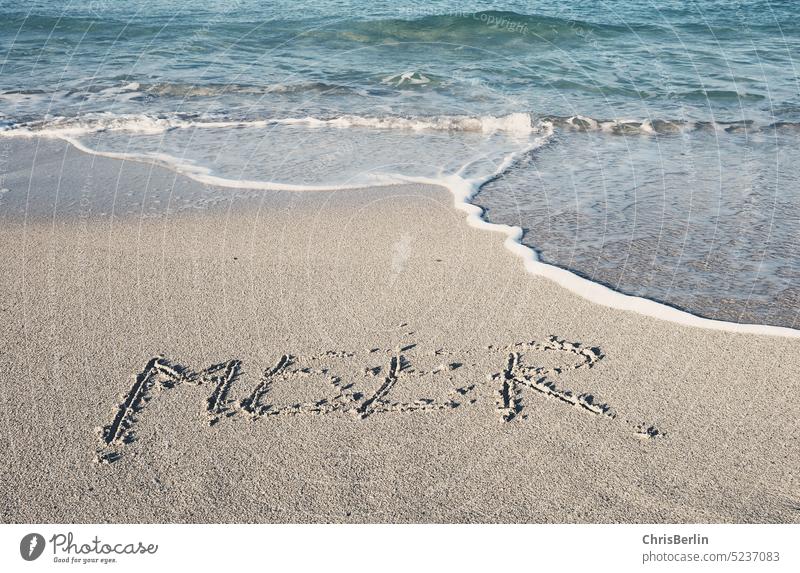 The word sea written in the sand on the beach Ocean Beach Sand Water Sun vacation Blue Nature Landscape Relaxation voyage holidays free time Freedom Summer Surf