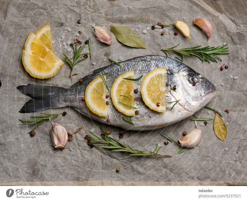 Raw whole dorado fish on brown parchment paper and spices for cooking, top view on black table raw seafood rosemary salt lemon garlic preparation freshness