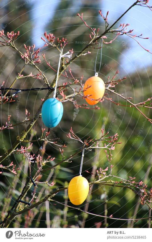 Easter eggs on tree plastic bush Tree ornamental maple Garden twigs Spring Season