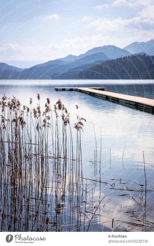 Wooden jetty on a lake Footbridge wooden walkway Austria Lake Water Landscape Nature Idyll Calm Lakeside Exterior shot Sky Relaxation Deserted reed Seaweed